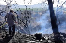 Με 30 εκατ. ενισχύεται η πυροπροστασία κατοικημένων περιοχών σε Δήμους με περιαστικά δάση