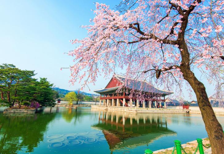 Η Νότια Κορέα προσφέρει δωρεάν διακοπές - Πώς να κάνετε αίτηση