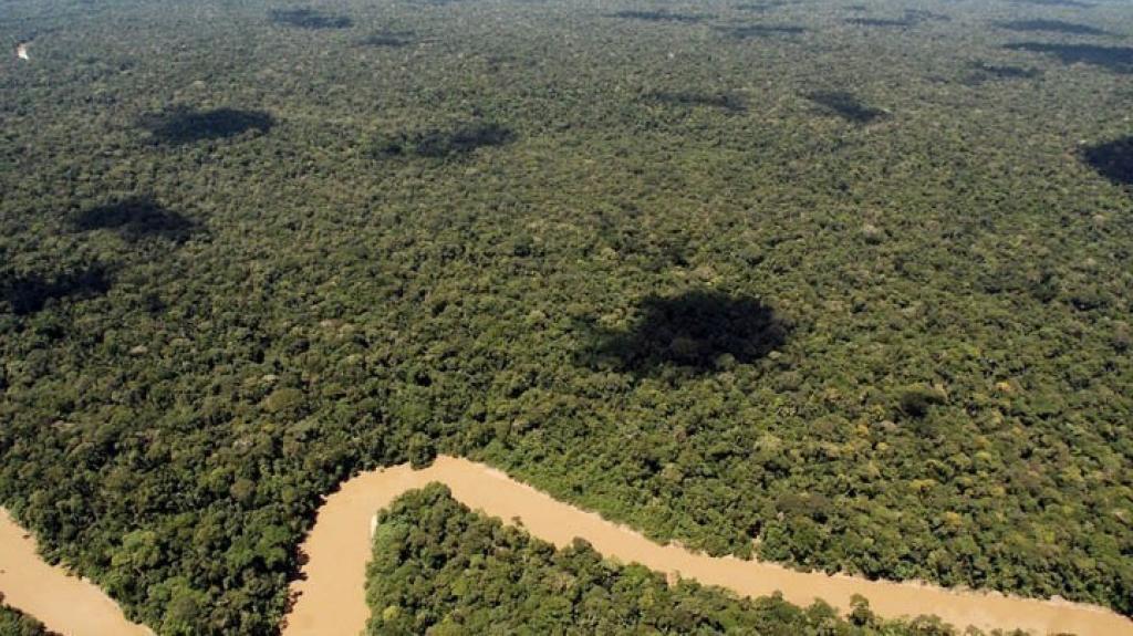 Ο Αμαζόνιος κινδυνεύει από το Greenwashing των τραπεζών – Τι υποστηρίζουν οι φορείς