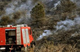 Γλυφάδα: Πρόστιμο €4.640 στους δύο ανήλικους που συνελήφθησαν για την πυρκαγιά