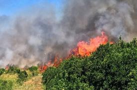 Χωρίς μέτωπο οι πυρκαγιές σε Εύβοια και Ρέθυμνο