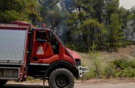 Πύργος: Πυρκαγιά σε εξέλιξη στην περιοχή Σχίνοι της Ζαχάρως