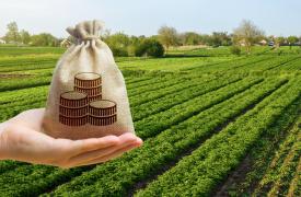 Ταμείο Ανάκαμψης: 35 εκατ. ευρώ για επενδύσεις στην πράσινη γεωργία και τη γεωργία ακριβείας