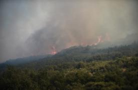 Σέρρες: Συνεχίζεται η μάχη με τη φωτιά στο Αχλαδοχώρι