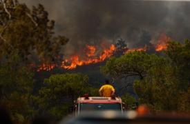 Τουρκία: Τρεις νεκροί από δασική πυρκαγιά στην επαρχία της Σμύρνης