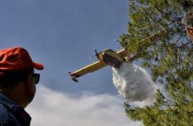 Ολονύχτια μάχη με τις φλόγες στη Ζάκυνθο - Υπό μερικό έλεγχο η πυρκαγιά
