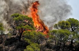 Πολύ υψηλός κίνδυνος πυρκαγιάς σε Αττική, Στερεά Ελλάδα και Πελοπόννησο