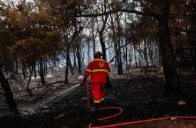 Μυτιλήνη: Άμεση κατάσβεση πυρκαγιάς σε χαμηλή βλάστηση στην Β. Λέσβο