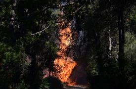 Πυρκαγιές σε Διόνυσο, Μαραθώνα και Χαλάνδρι λόγω έντονης κεραυνικής δραστηριότητας