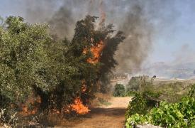 Μεγάλη φωτιά τώρα στην Κορινθία: Ισχυρές πυροσβεστικές δυνάμεις - Μήνυμα 112