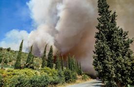 Πυρκαγιά σε δασική έκταση στις Πετριές Ευβοίας - Προειδοποιητικό μήνυμα του 112 στους κατοίκους