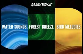 Μπορεί μια playlist με nature sounds από την Greenpeace να βοηθήσει τη φύση;
