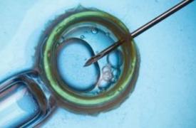 Καλανταρίδου (ΕΚΠΑ): Νέες κατευθυντήριες οδηγίες για την πρόωρη ωοθηκική ανεπάρκεια