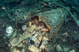 Χαλκιδική: «Ανάσα» πήρε ο βυθός του Πόρτο Κουφό από τους υποβρύχιους καθαρισμούς