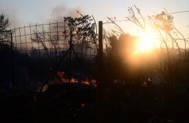 ΓΣΕΒΕΕ: Άμεση ανάγκη για καταγραφή ζημιών και καθολική ενίσχυση των πληγέντων από τις πυρκαγιές στη ΒΑ Αττική