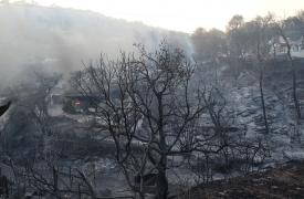 Πυροσβεστική: 41 πυρκαγιές σε όλη την χώρα το τελευταίο 24ωρο