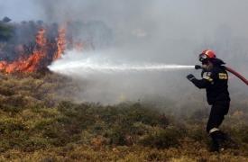 Φωτιά σε δασική έκταση στην περιοχή Χιονοχώρι Σερρών