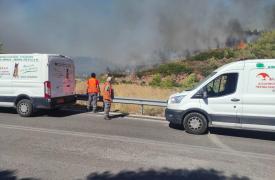 Διάσωση ζώων μέσα από τις φλόγες