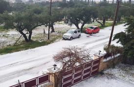 Κοζάνη: Σημαντικές ζημιές στους ελαιώνες του δήμου Ιμέρων από χαλαζόπτωση