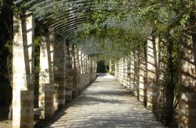 Δήμος Αθηναίων: Αυξημένα μέτρα ασφαλείας λόγω ισχυρών ανέμων – Κλειστός ο Εθνικός Κήπος
