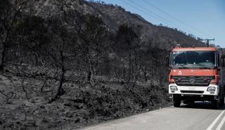 Σαράντα δύο δασικές πυρκαγιές εκδηλώθηκαν το τελευταίο 24ωρο σε όλη την Ελλάδα