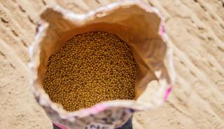 Κίνα: Ετήσια αύξηση 91% στις εισαγωγές σόγιας από τις ΗΠΑ