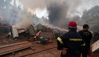 Σταμάτα: Ενισχύονται οι δυνάμεις πυρόσβεσης, κοντά σε σπίτια οι φλόγες -Έκτακτη ενημέρωση από Χαρδαλιά