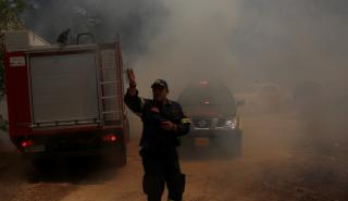 Συνολικά 25 δασικές πυρκαγιές το τελευταίο 24ωρο - Υπό μερικό έλεγχο η φωτιά στο Περιγιάλι Λαυρίου