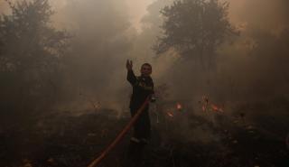 Φωτιές στην Ελλάδα: Εκκενώνονται Γύθειο και Μαυροβούνι