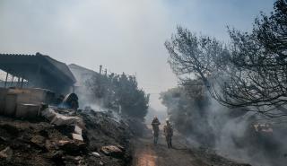 Πυρκαγιά στην Κερατέα: Πολλές εστίες και αναζωπυρώσεις - Μάχη να μην περάσει στον εθνικό δρυμό Σουνίου
