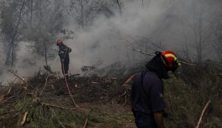 Βόρεια Εύβοια: Σε ύφεση τα μέτωπα της πυρκαγιάς - Πάνω από μισό εκατ. δασικών τ.μ. καμένα