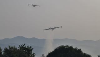 Πυρκαγιές: Συνεχίζεται η «μάχη» σε Γορτυνία-Μάνη - Σε κατάστασης εκτάκτου ανάγκης 5 δήμοι της Πελοποννήσου