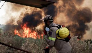 Τρίπολη: Νέα μέτωπα πυρκαγιών που πέρασαν από την Μεσσηνία και την Ηλεία