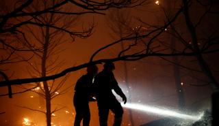 Ο καπνός από τις μεγάλες δασικές πυρκαγιές καταστρέφει προσωρινά το στρώμα του όζοντος