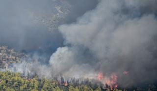 Ανεξέλεγκτη η πυρκαγιά στο Ρέθυμνο - Εντολή εκκένωσης έξι χωριών στο δήμο Αγίου Βασιλείου