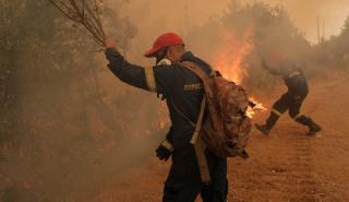 Συνολικά 53 δασικές πυρκαγιές εκδηλώθηκαν το τελευταίο εικοσιτετράωρο