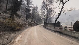 Πύρινα μέτωπα σε Εύβοια, Ηλεία, Μεσσηνία: Κοντά στον αρχαιολογικό χώρο οι φλόγες - Σπίτια παραδίνονται στις φλόγες