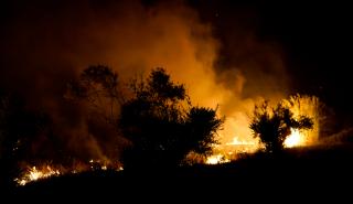 Πυρκαγιές: Nύχτα αγωνίας σε Ρόδο και Αττική - Υπό έλεγχο η φωτιά στη Λακωνία