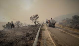 Περιπολίες στρατού και αστυνομίας σε δάση και επίφοβες περιοχές για πρόληψη πυρκαγιών