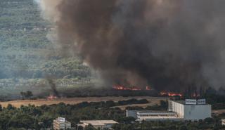 Κίνδυνος κατηγορίας Ι τα μικροσωματίδια από τις φωτιές - Η απλή χειρουργική μάσκα δεν προστατεύει