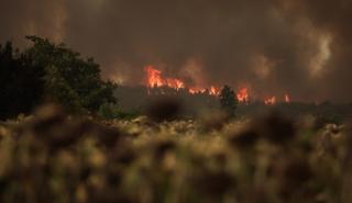 Πυρκαγιά στην Εύβοια: Απίστευτο θρίλερ - Οι φλόγες καίνε σπίτια στη Λίμνη