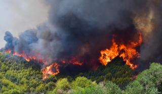 Χανιά: Υπό έλεγχο η φωτιά στον Κίσσαμο