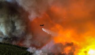 Πυροσβεστική: Συνολικά 52 δασικές πυρκαγιές το τελευταίο 24ωρο - 99 συλλήψεις για εμπρησμό το 2023