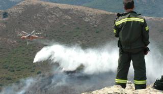 Βίλια: Οριοθετήθηκε η πυρκαγιά - Σε επιφυλακή οι αρχές για αναζωπυρώσεις και νέες πυρκαγιές