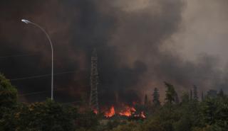 Μία σύλληψη και πρόστιμο 3.000 ευρώ για τη φωτιά στη Βαρυμπόμπη
