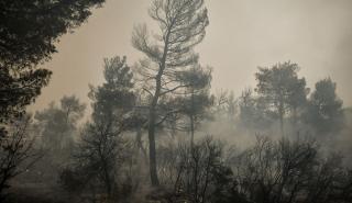 Ελβετία: Θα χρειαστούν εβδομάδες για την κατάσβεση των πυρκαγιών - Στάχτη 247.105 στρέμματα δάσους