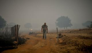 Μεσσηνία: Σε εξέλιξη πυρκαγιά στην περιοχή Τουλούπα-Χάνι