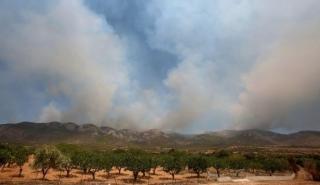 Αποζημιώσεις πληγέντων από τις πυρκαγιές Μαΐου - Αυγούστου: Δημοσιεύθηκε η ΚΥΑ