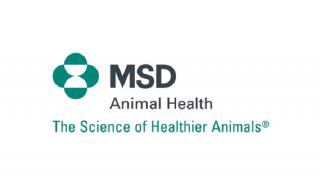 Η MSD Animal Health στο πλευρό της Εθελοντικής Δράσης Κτηνιάτρων Ελλάδaς για τη φροντίδα των πυρόπληκτων ζώων της Αττικής