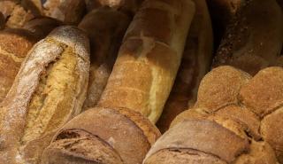 Eurostat: Ακριβότερο από ποτέ το ψωμί στην Ευρώπη – Πάνω από 20% η αύξηση στην Ελλάδα